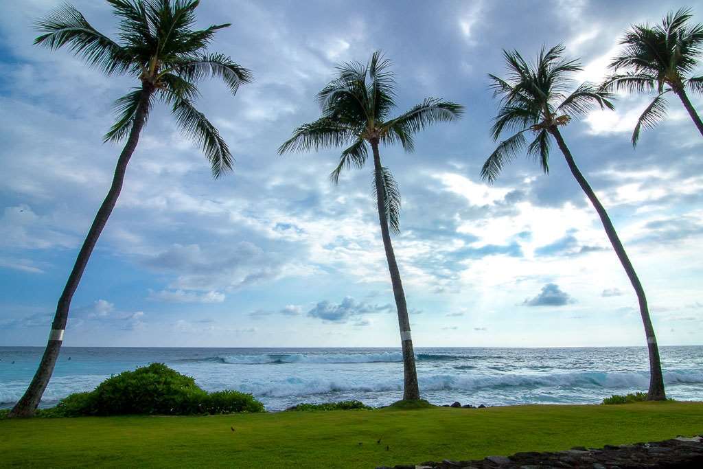 Kona Reef Hotel ไคลัวโคนา ห้อง รูปภาพ